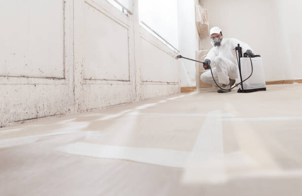 24/7 Emergency Attic Mold Removal experts in Washington, NC